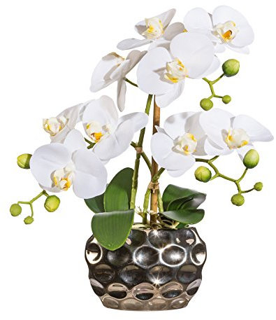 Gasper Kunstpflanze Phalenopsis in Einer Oval Vase, Farbe: Weiß, in der Höhe: 30 cm, 1717300-40