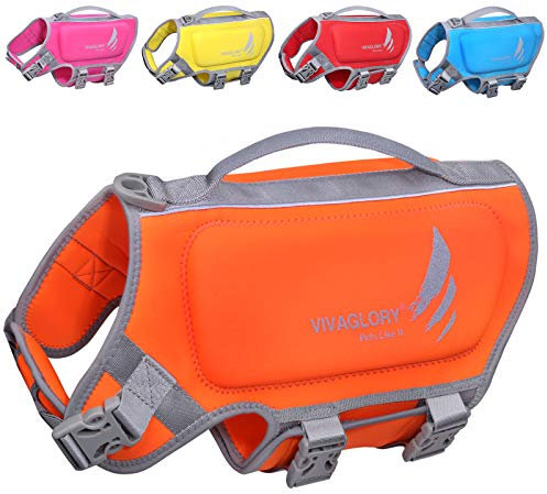 VIVAGLORY Gilet da Nuoto Leggero per Cani, Giubbotto Salva Vita in Neoprene Ecocompatibile con D-Ring e Chiusura Rapida per Maggiore Comfort e Sicurezza, Arancione