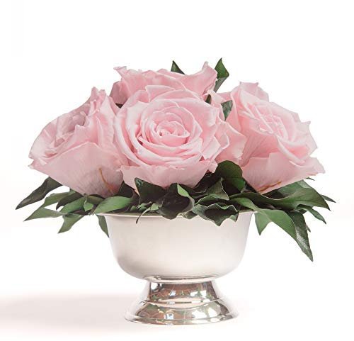 ROSEMARIE SCHULZ Heidelberg Infinity Rosen in Silberfarbener Schale - 6 Ewige Konservierte Rosen - Rosenbox Blumenbox (Rosa)
