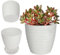 KADAX Maceta con Plato, Maceta para Interiores, Maceta Ligera de plástico, Maceta para Flores, Plantas, hogar, habitación, Maceta (13 cm, Blanco)