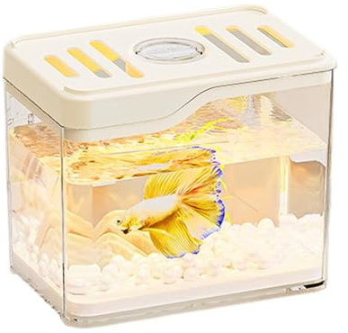 Desktop Fish Tank - Square Creative Desktop Fish Tank | Clear Small Fishes Tanks, Lightweight Sturdy Fishes Tanks | Bowl Room Decor Features Colorful Led Lights For Family Friends Colleagues