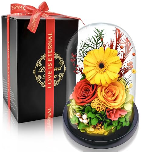 Rosa Eterna & Gerbera Stabilizzate | Regalo di Lusso con Luce LED | Perfetto per Anniversari, Festa della Mamma | Ideale per Moglie, Fidanzata, Mamma e Nonna | Fiori Preservati che Durano Anni