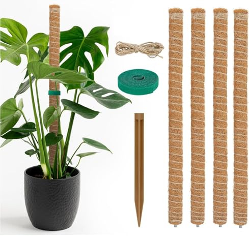 4 Stück 40cm Moosstab Pflanzstab Monstera Rankhilfe mit 1Rollen Klett Kabelbinder und 2 m Jute Schnur für Pflanzenname Pflanzzeit Haus Garten Pflanzenunterstützung