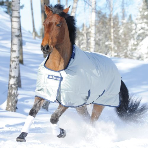 Bucas Power Turnout Light Big Neck 145 Silber