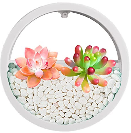 Gomice Maceta Transparente para Montaje en Pared, Maceta de Pared Redonda,Maceta Colgante Redonda Transparente - Florero de Pared de Plantas para Colgar en la Pared, Maceta Redonda para Interiores,