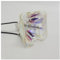 WGUOGO Projektorlampe mit Gehäuse TLPLW12 for TLP X300/TLP X3000/TLP XC3000/TLP X3000U/TLP XC3000U