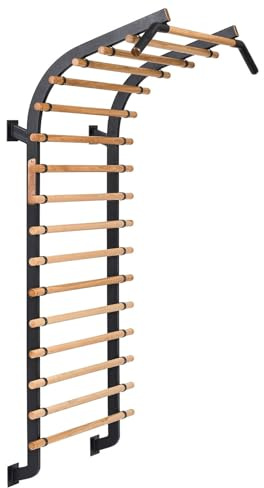Sport-Thieme Sprossenwand X