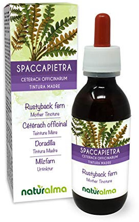 Spaccapietra o cedracca (Ceterach officinarum o Asplenium ceterach) foglie Tintura Madre analcoolica Naturalma - Estratto liquido gocce 120 ml - Integratore alimentare - Vegano