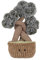 Apricot Lamb Koniferen Baum Plüschtiere für Kinder, weiche niedliche Kuscheltier für Baby Mädchen und Jungen, Flauschige Baum Pflanze Braun 31 cm