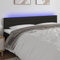 Hovothy Bettkopfteil Moderne Polsterbett-Kopfteils LED-Kopfteil Hervorragende Unterstützung Höhenverstellbar Möbelstück für Schlafzimmer Stilvollen Design Schwarz 160x5x78/88 cm