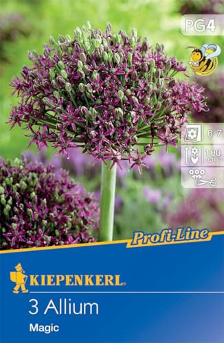 Kiepenkerl Profi-Line Zierlauch Magic - Allium Blumenzwiebeln, Pollenspender für Nützlinge, Verwildert im Garten, Dunkelviolette Blütenbälle