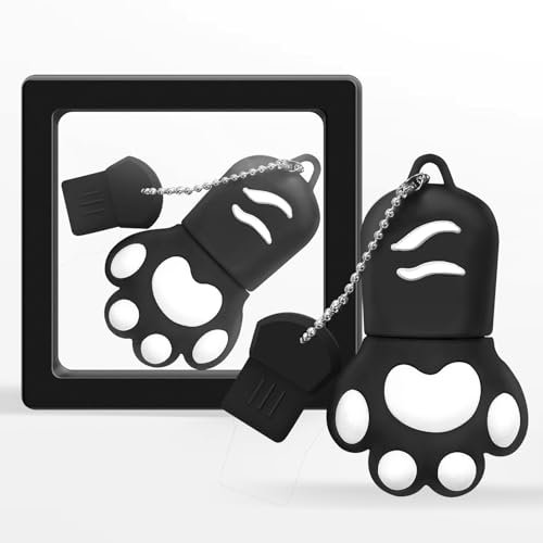 Pendrive USB 64 GB Diseño Zampa de Gato, Memoria USB con Llavero y Caja de Regalo