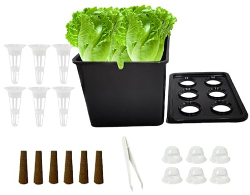 Chaies Box | Komplettes Anzucht-Set für jede Jahreszeit – Box mit Behälter für | für Salat, Blumen, Balkon, Beet, Hotel, Wohnung