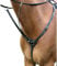 Shires Salisbury 3 Point Springreiten Cob schwarz - schwarz