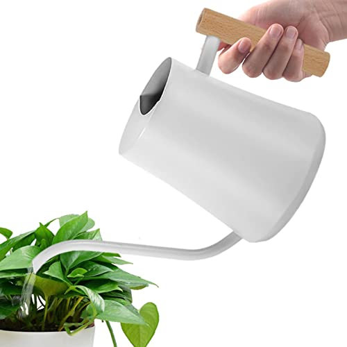 Gießkanne mit langem Hals, 1,2 l, Vintage-Stil, Edelstahl, Bewässerungsglocke, Daumentopf – langer Wasserkessel mit Holzgriff für Zimmerpflanzen Ventdouce
