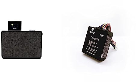 Pure Evoke Play portables Musiksystem für innen und außen DAB+/UKW Radio & Evoke Play ChargePAK wiederaufladbarer Akku für Evoke Play Musiksystem für mobilen Musikgenuss, 12 Stunden Akkulaufzeit
