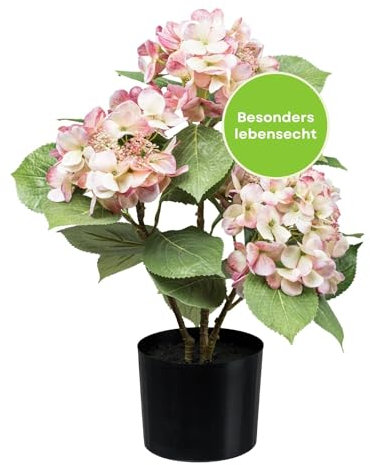 CREATIV green Hortensien Kunstblumen im Topf in rosa-Creme 53cm I künstliche Hortensien mit naturgetreuen Blüten I Pflegeleichte Kunstpflanze im Kunststoff-Topf 12,5x11,5cm I stilvolle Kunstpflanzen