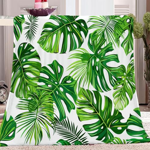 Generisch Grün Kuscheldecke 200x200 cm Flauschig Decke Fleecedecke - Pflanzenzeichnung Monstera Sofadecke Wohndecke Couchdecke, Decke Sofa Weich Leicht Sofaüberwurf