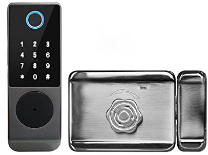 Nessun cablaggio Impermeabile Tuya Smart Door Lock Double Sided Fingerprint Rim Lock Smart Card Codice digitale Serratura elettronica esterna per porta d'ingresso(Standard NO APP -B)