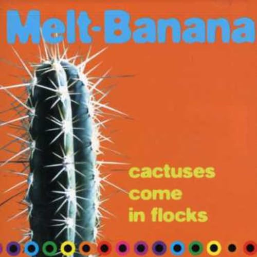 Cactuses Come in Flocks