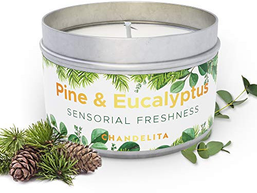 Chandelita Duftkerze mit Kiefer & Eukalyptus für Entspannung & Wohlbefinden – Handgemachte Duftkerzen aus Sojawachs – Vegane Kerze mit Ätherischen Ölen – Aromatherapie Candle – Zirben Kerze