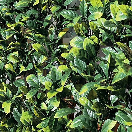 TENAX Divy 3D Plus Laurus 1,00x3 m Grün, Synthetische Hecke aus Lorbeerblättern auf Kunststoffgitter, Abschirmung von Gärten, Balkonen und Terrassen