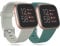 Ouwegaga Cinturino di Ricambio in Silicone Compatibile con Fitbit Versa Cinturino/Fitbit Versa Lite Cinturino/Fitbit Versa 2 Cinturino, Piccolo Grigio/Pinegreen