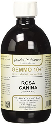 Dr Giorgini ROSA CANINA Gemmoderivato Concentrato Liquido Analcoolico - 500 ml