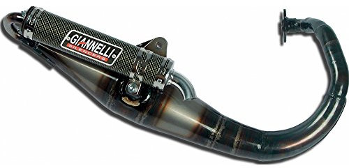 Auspuffanlage Giannelli Reverse mit ABE für Peugeot