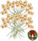 HERCHR 100 Stück künstliche Stechpalmen und goldene Stechpalmenbeeren,Dekorative Weihnachtsstechpalmenbeeren Goldene Weihnachtsbeere Faux Flower Berry, Do-It-Yourself Crafts
