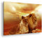 deyoli Leinwandbild Löwen in Afrika, ruhend im goldenen Gras der Savanne. Format: 70x50cm XXL Kunstdruck Bild auf Holzrahmen/Wandbild/Wohnzimmer Dekoration