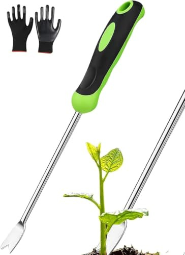 SilverChry Spargelstecher Edelstahl Lang, 32 cm Unkrautstecher mit Handschuhe, Wurzeljäter, Spargelstecheisen, Distelstecher, Wird zum Jäten, Zum Jäten und Lockern von Gräben