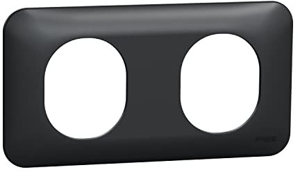 Schneider Electric - Ovalis - Plaque de finition - 2 postes horizontal -Anthracite - S460704