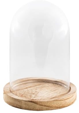 Chaks - Cloche en verre avec socle en bois, dôme en verre déco | Ø 14 x 21 cm, présentoir DIY et décoration de table, cloche en verre pour mariage, vitrine avec socle en bois