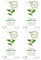 (4 PACK) - Heath And Heather - Organic Green Tea HH9 | 20 Bag | 4 PACK BUNDLE