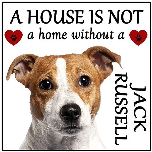 Jack Russell Terrier Dog Gift House is not a Home Fridge Magnet, size 5 x 5.