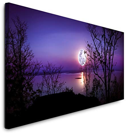Paul Sinus Art GmbH Panorama 120x 50cm Panorama Leinwand Bild XXL Format Wandbilder Wohnzimmer Wohnung Deko Kunstdrucke