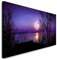 Paul Sinus Art GmbH Panorama 120x 50cm Panorama Leinwand Bild XXL Format Wandbilder Wohnzimmer Wohnung Deko Kunstdrucke