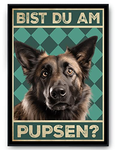 Tigerlino® Bist du am Pupsen Hunde Poster Badezimmer Gästebad Wandbild Klo Toilette Dekoration Lustiges Gäste-WC Bild DIN A4 (Belgischer Schäferhund)