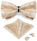 DiBanGu Herren Seide Fliege Champagner Floral Fliege Ring und Einstecktuch Manschettenknöpfe Set Hochzeit Party