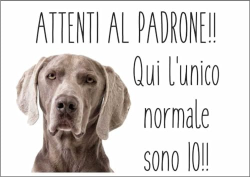 M-ITALY CARTELLO SEGNALETICO - WEIMARANER ATTENTI AL PADRONE - Adesivo Extra Resistente, Pannello in Forex, Pannello In Alluminio (30x42, Alluminio)