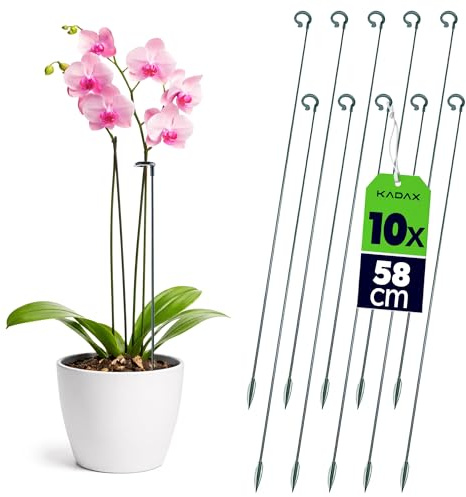 KADAX Pflanzenstützen 58 cm, 10er Set, Orchideenstäbe zur Stabilisierung von Stängeln und Blüten, Pflanzstäbe aus Glasfaser & Kunststoff, Rankhilfe für Orchideen
