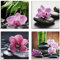 ARTland Wanddeko Glasbilder Wandbild Glas Bild Set 4 teilig je 40x40 cm Quadratisch Asien Wellness Zen Pflanzen Blumen Orchideen Steine Entspannung S6MH