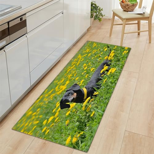Teppich Läufer Flur rutschfest Teppich Läufer 60x180cm, Dackel Mit Tiermotiv Teppich Waschbar Grün Teppichläufer Flur Läufer Teppich für Flur, Küche, Schlafzimmer
