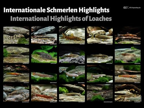 Nature2Arts Poster: Internationale Schmerlen Highlights, groß