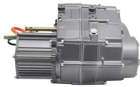 Motor für ATV, 1000W Bürstenloser DC-Motor- Bausatz & Kontrolleur, Elektromotor DIY Umbausatz für ATV Strandauto Elektromotorrädern Dreirädern Golfcart Mini Dirt Bike (72V)