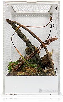 Swell Reptiles Mantis Display Box 20cm x 10cm x 12cm. Mantis, Tarantula and Stick Insect Enclosure.