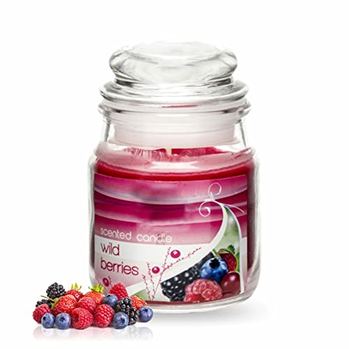 Scented Candle Jar Wild Berries Scent Tumbler Candle Scented Jarred Signature Candle with Removable Lid Aromatherapy Long Burning Candle for Bathroom Living Area Or Home Decor Accessories (1Pc)