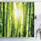 XLYYDS Duschvorhang 240x200 Grüner Bambus, Duschvorhänge Antischimmel 3D Sonnenaufgang, Shower Curtains Wasserdicht Waschbar, Duschrollo für Badewanne Dusche Badezimmer, mit 12 Ringe