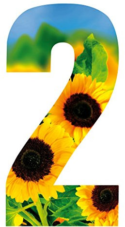 WHL Pack of 3 Wheelie Bin House Numbers - Sunflower Number 2